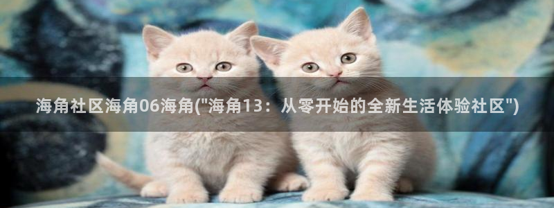 海角社区57：海角社区海角06海角(\