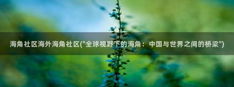 小草海角社区登不上：海角社区海外海角社区(\
