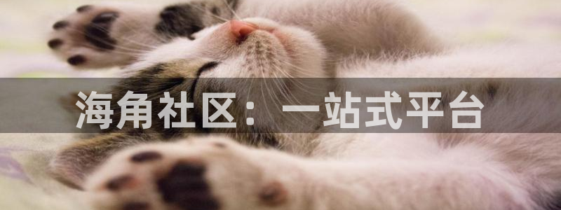 海角社区6nd5：海角社区：一站式平台